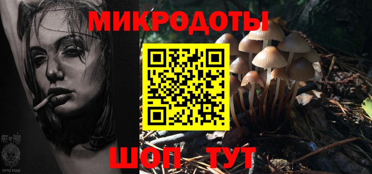 Галлюциногенные грибы GOLDEN TEACHER Елец